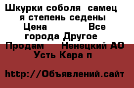 Шкурки соболя (самец) 1-я степень седены › Цена ­ 12 000 - Все города Другое » Продам   . Ненецкий АО,Усть-Кара п.